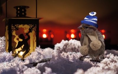 Winterbeginn – Weihnachtszeit